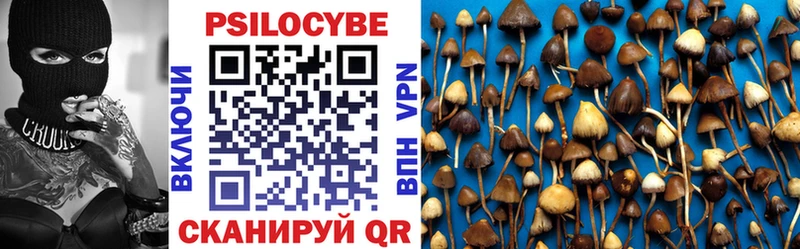 ссылка на мегу зеркало  Тетюши  Псилоцибиновые грибы MAGIC MUSHROOMS  где купить наркоту 